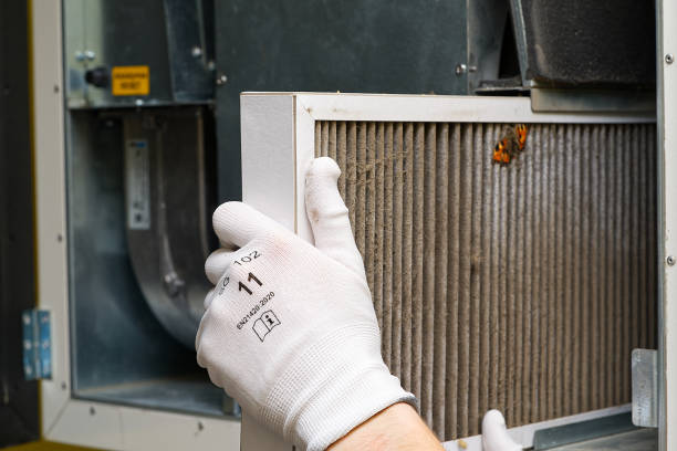 Best Home Air Vent Cleaning  in Gra Forks Af, ND